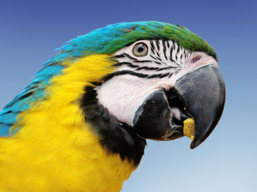 605826 (a): :1600x1200